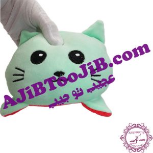 گربه های احساسی تبدیل شونده