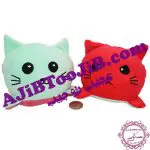 گربه های احساسی تبدیل شونده