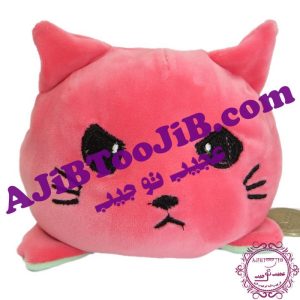 گربه های احساسی تبدیل شونده