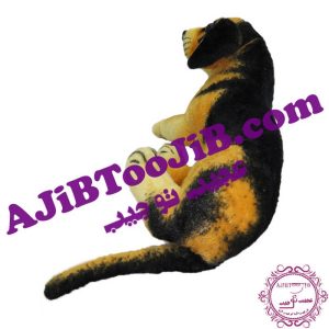 Doll loyal Lying down dog