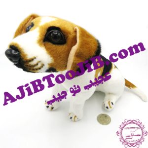 سگ مهربان نشسته گوش به فرمان (بسیار طبیعی)