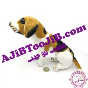 سگ مهربان نشسته گوش به فرمان (بسیار طبیعی)