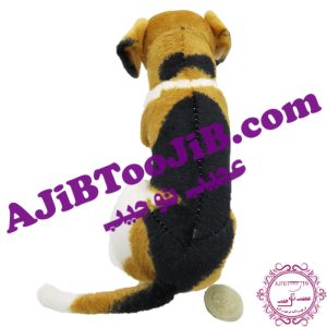 Doll loyal sitting dog