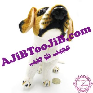 سگ مهربان نشسته گوش به فرمان (بسیار طبیعی)