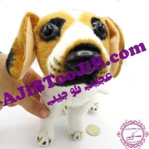 سگ مهربان نشسته گوش به فرمان (بسیار طبیعی)