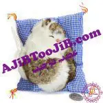 گربه ناز خوابیده روی تشک موزیکال (سایز کوچک)