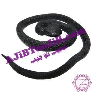 Big jelly snake