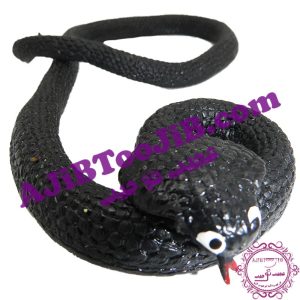 Big jelly snake