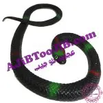 مار ژله ای بزرگ