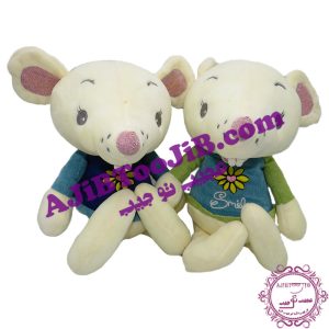 موش خندان دندونی