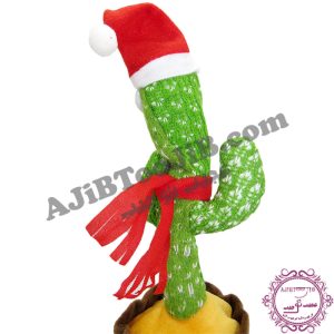 کاکتوس سخنگوی رقاص (کیفیت درجه یک) - Image 5