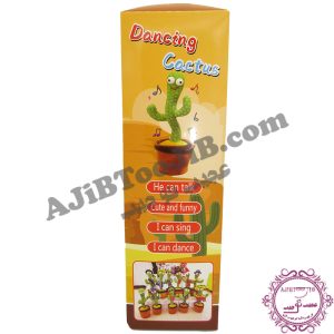 کاکتوس سخنگوی رقاص (کیفیت درجه یک) - Image 9