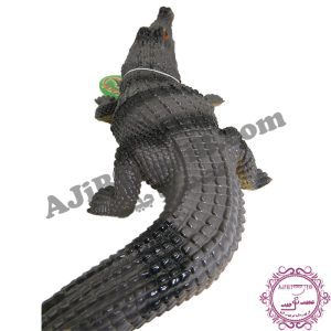 تمساح شکارچی