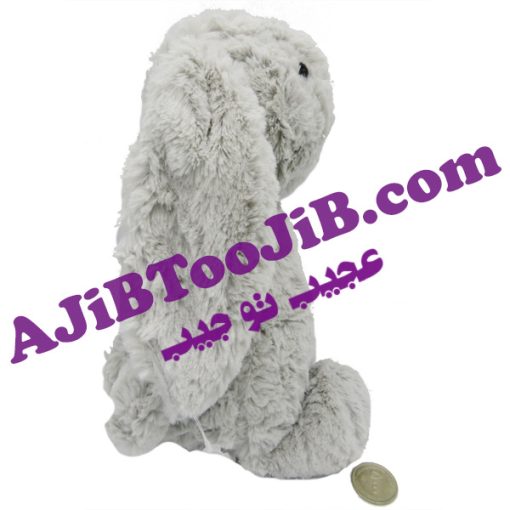 Jelly coat rabbit doll without clothes