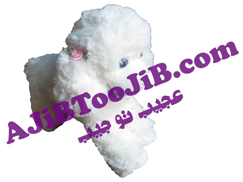 Doll cute hairy dog large