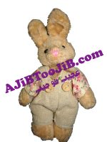Doll Pendant Bear Rabbit Boy Girl